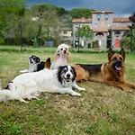 Monastero San Silvestro 팜스테이 코르토나