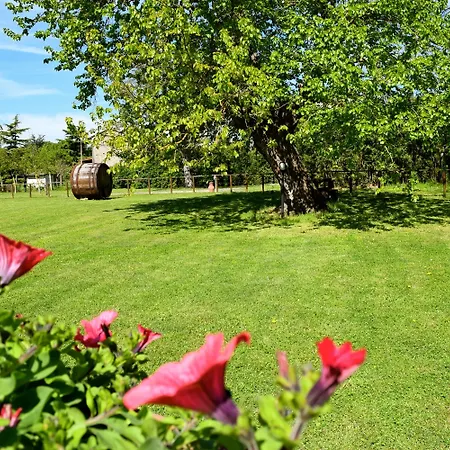 Alloggio per agriturismo Monastero San Silvestro *
